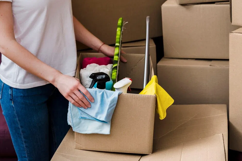 A person holding a box of home cleaners.
